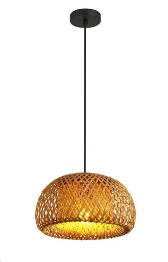 LED Pendant Ceiling Lamp 1XE27-40W 100-240V 50-60HZ