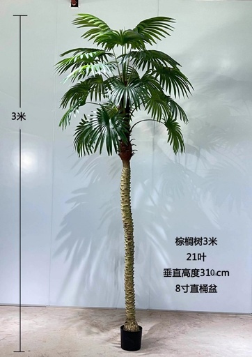 Palm tree
