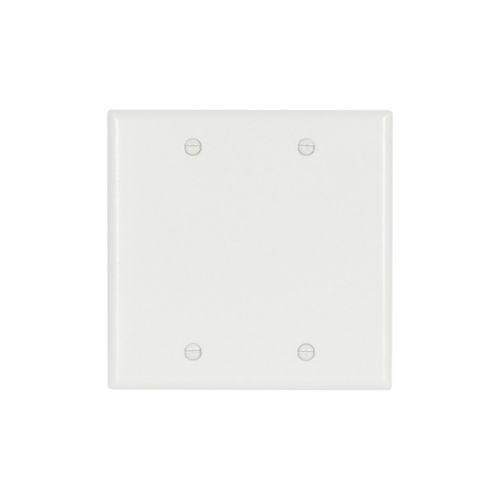 2G Blank White Wall Plate