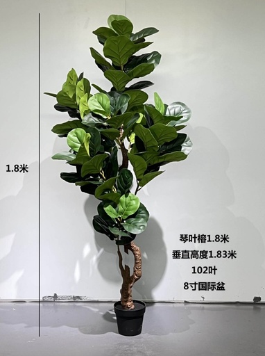 Fiddle tree