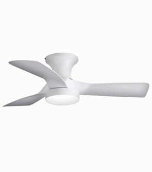 LED Ceiling Fan CCT WHT