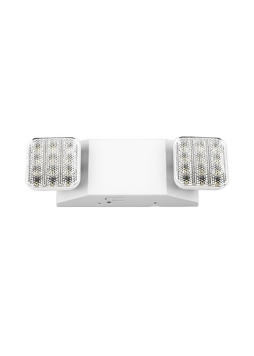 110V LED Emergency Lamp